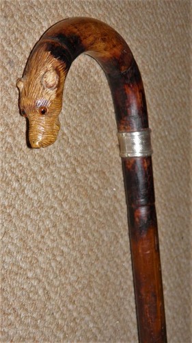 Bastone cane passeggio - bastone/cane, da