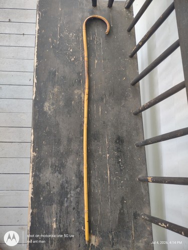 Bastone passeggio - ,