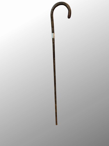 Bastone passeggio bambù - da,